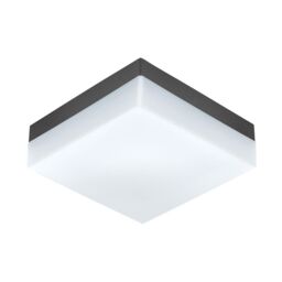 Loops IP44 Outdoor Wall Light Anthracite Plastic 8.2W Built in LED Porch Lamp