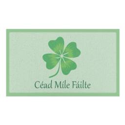 Artsy Mats Cead Mile Failte Indoor/Outdoor Doormat (70x40cm) in Light Green - Size: 40 cm x 70 cm - thumbnail 2