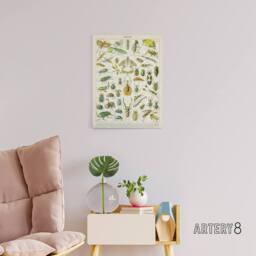 "Artery8 Millot Encyclopedia Page Beetles Insects Canvas Wall Art Print - Size: W24"" x H32""" - thumbnail 3