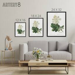 "Artery8 Oakleaf Hydrangea Flowers Redoute Vintage Black Framed Canvas Wall Art in White - Size: W18"" x H24""" - thumbnail 4