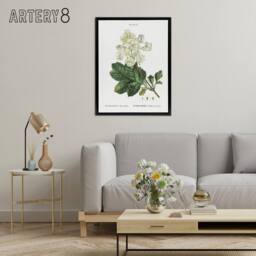 "Artery8 Oakleaf Hydrangea Flowers Redoute Vintage Black Framed Canvas Wall Art in White - Size: W18"" x H24""" - thumbnail 3