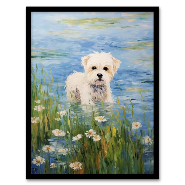 "Artery8 Maltese Dog Claude Monet Style Oil Painting Portrait In Lake By Wildflowers Art Print Framed Poster Wall Decor in Black - Size: W12"" x H16""" - image 1