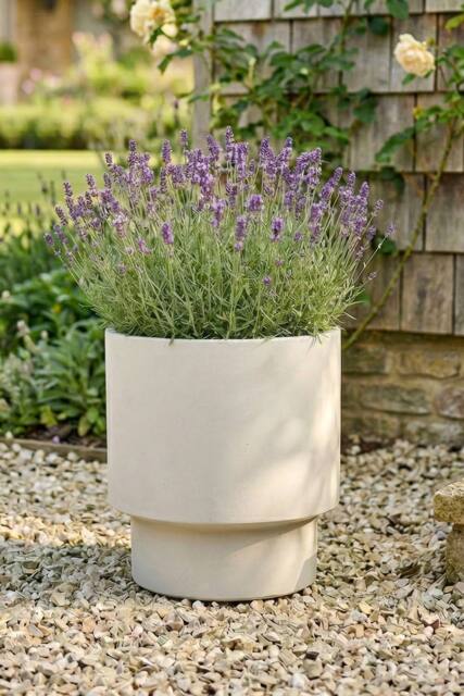 Dibor Medium Beige Fibre Clay Indoor Outdoor Garden Planter Houseplant Flower Plant Pot H30 x Dia 30cm - image 1