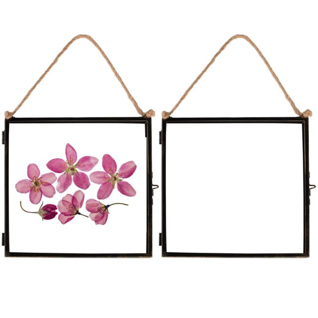 "Nicola Spring 5x Hanging Metal Photo Frames - 8"" x 8"" - Picture Frame Wall Mounted Frame with Rope in Black" - image 1