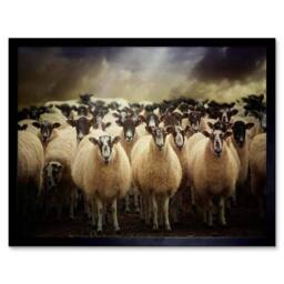 "Artery8 Sheep Flock Farm Wool Home Decor 12x16"" Framed Wall Art Print in Brown - Size: W12"" x H16""" - thumbnail 1