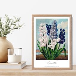 ARTZE Vintage Floral Exhibition - Hyacinth Flowers Framed Print SIZE: A4 with Oak Frame in Green - thumbnail 2