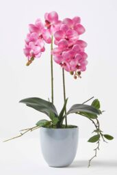 Homescapes Luxury Artificial Orchid in Ceramic Pot, 54 cm, Pink