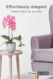 Homescapes Luxury Artificial Orchid in Ceramic Pot, 54 cm, Pink - thumbnail 6