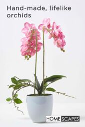 Homescapes Luxury Artificial Orchid in Ceramic Pot, 54 cm, Pink - thumbnail 2