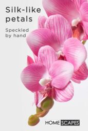 Homescapes Luxury Artificial Orchid in Ceramic Pot, 54 cm, Pink - thumbnail 3