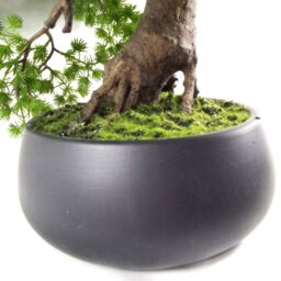 Leaf 50cm Artificial Luxury Pine Bonsai Tree in Green - thumbnail 5