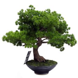 Leaf 50cm Artificial Luxury Pine Bonsai Tree in Green - thumbnail 4
