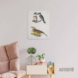 "Artery8 James De Kay Belted Kingfisher & Meadow Lark Canvas Wall Art Print in White - Size: W12"" x H16""" - thumbnail 3