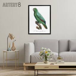 "Artery8 Yellow Crowned Amazon Parrot Levaillant Framed Canvas Wall Art Print in White - Size: W18"" x H24""" - thumbnail 3