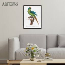 "Artery8 The Peach Fronted Parakeet Levaillant Framed Canvas Wall Art Print in White - Size: W24"" x H32""" - thumbnail 3