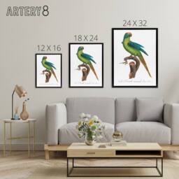 "Artery8 The Peach Fronted Parakeet Levaillant Framed Canvas Wall Art Print in White - Size: W24"" x H32""" - thumbnail 4