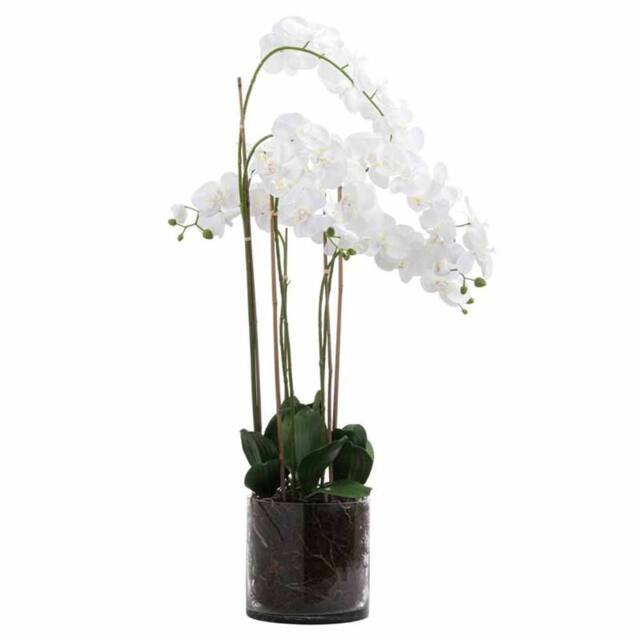 Lemon Pavilion Furniture and Decor Large Tall Orchid in Glass Pot Artificial Flower - L57 x W57 x H126 cm in White - image 1