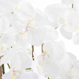 Lemon Pavilion Furniture and Decor Large Tall Orchid in Glass Pot Artificial Flower - L57 x W57 x H126 cm in White - thumbnail 2