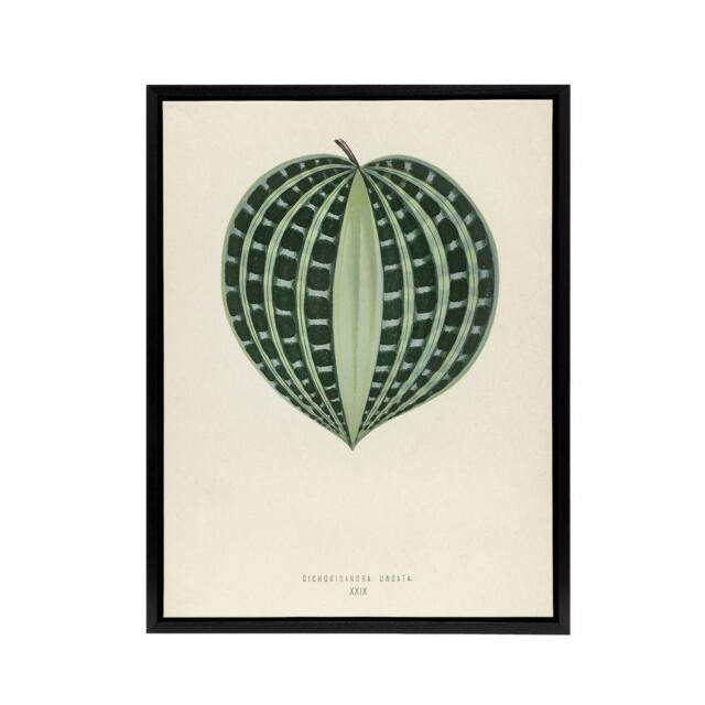 "Artery8 Vintage Botanical Seersucker Plant Leaf Fawcett Framed Canvas Wall Art in Beige - Size: W24"" x H32""" - image 1