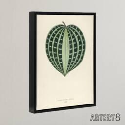 "Artery8 Vintage Botanical Seersucker Plant Leaf Fawcett Framed Canvas Wall Art in Beige - Size: W24"" x H32""" - thumbnail 2