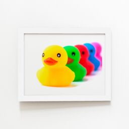"Warren Reed - Designer Colourful Ducks In A Row Framed Art Print in White - Size: W20"" x H30""" - thumbnail 2