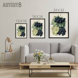 "Artery8 Vintage Illustration of Grape Varieties Wright Framed Canvas Wall Art in White - Size: W12"" x H16""" - thumbnail 4