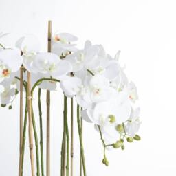 Lemon Pavilion Furniture and Decor Large Orchid in Glass Pot Artificial Flower, L70 x W70 x H88 cm, White - thumbnail 2