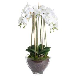 Lemon Pavilion Furniture and Decor Large Orchid in Glass Pot Artificial Flower, L70 x W70 x H88 cm, White
