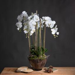 Lemon Pavilion Furniture and Decor Large Orchid in Glass Pot Artificial Flower, L70 x W70 x H88 cm, White - thumbnail 3