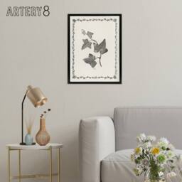 "Artery8 Vintage Botanical Ipomoea Triloba Leaves Hibberd Framed Canvas Art in White - Size: W12"" x H16""" - thumbnail 3