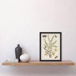 Artery8 Frutex Spinofus Flowers & Butterflies Catesby Framed Wall Art Print in Beige - Size: A4 - thumbnail 2
