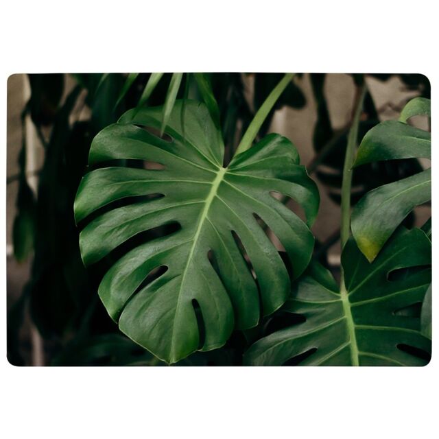 Benjamin Tate Design Monstera Leaves In Home Interior Designer Rug in Natural - Size: Large - image 1