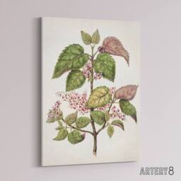 "Artery8 New Zealand Makomako Flowering Plant Featon Canvas Wall Art Print in Beige - Size: W12"" x H16""" - thumbnail 2