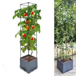 Havendro 142cm 4‑Tier Self Watering Tomato Planter Pot Vine Trellis Support in Grey - thumbnail 1