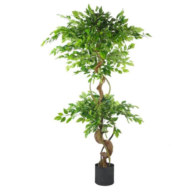 Leaf 150cm Twisted Trunk Artificial Japanese Fruticosa Ficus Tree Black Planter in Green - image 1
