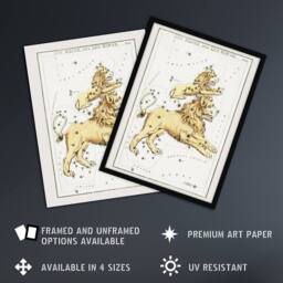 "Artery8 Vintage Leo Constellation Illustration Hall Framed Wall Art Print in White - Size: W12"" x H16""" - thumbnail 2