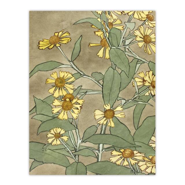 "Artery8 Daisies with Yellow Petals Wall Art Print Hannah Borger Overbeck - Size: W12"" x H16""" - image 1
