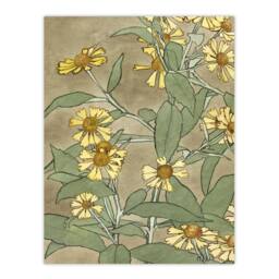 "Artery8 Daisies with Yellow Petals Wall Art Print Hannah Borger Overbeck - Size: W12"" x H16""" - thumbnail 1