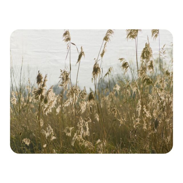 Benjamin Tate Design plumes Slimbridge Designer Blanket in Natural - Size: 120 cm x 150 cm - image 1