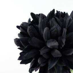 Leaf Pack of 6 x 75cm Artificial Extra Reflex Chrysanthemum Black - Size: 6 x 75 cm - thumbnail 2