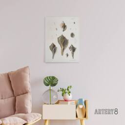 "Artery8 James De Kay Types of Seashells Pencil Drawing Canvas Wall Art Print in White - Size: W12"" x H16""" - thumbnail 3