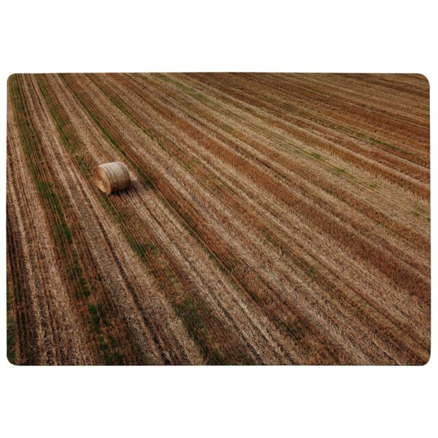 Benjamin Tate Design Aerial View Of Hay Bale Fields Designer Rug in Natural - Size: Large - image 1
