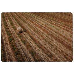 Benjamin Tate Design Aerial View Of Hay Bale Fields Designer Rug in Natural - Size: Large - thumbnail 1