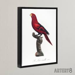 "Artery8 The Violet Necked Lory Parrot Levaillant Framed Canvas Wall Art Print in White - Size: W18"" x H24""" - thumbnail 2