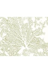 Origin Murals Skeleton Leaf Wall Mural in Natural - thumbnail 2