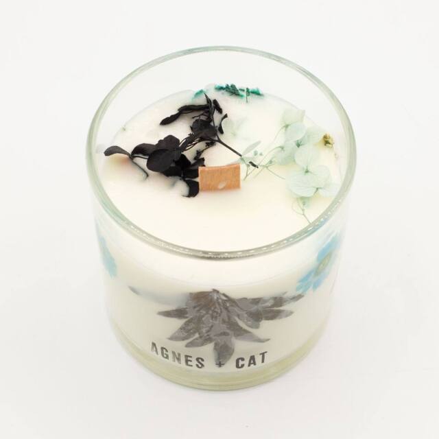 Serenityy Sea Salt & Moss Botanical Soy Candle - 350g in Clear - image 1