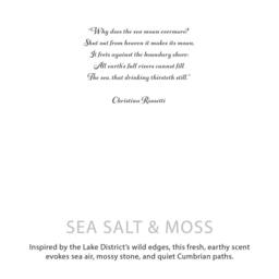 Serenityy Sea Salt & Moss Botanical Soy Candle - 350g in Clear - thumbnail 7