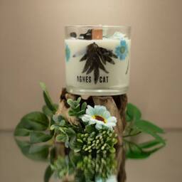 Serenityy Sea Salt & Moss Botanical Soy Candle - 350g in Clear - thumbnail 5