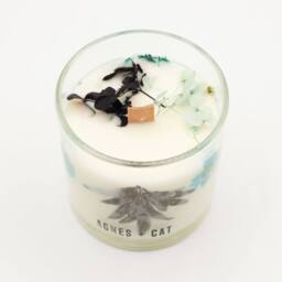 Serenityy Sea Salt & Moss Botanical Soy Candle - 350g in Clear - thumbnail 1