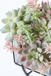 Homescapes Artificial Cactus Succulent Arrangement Decorative Geometric Grey Pot in Green - thumbnail 5